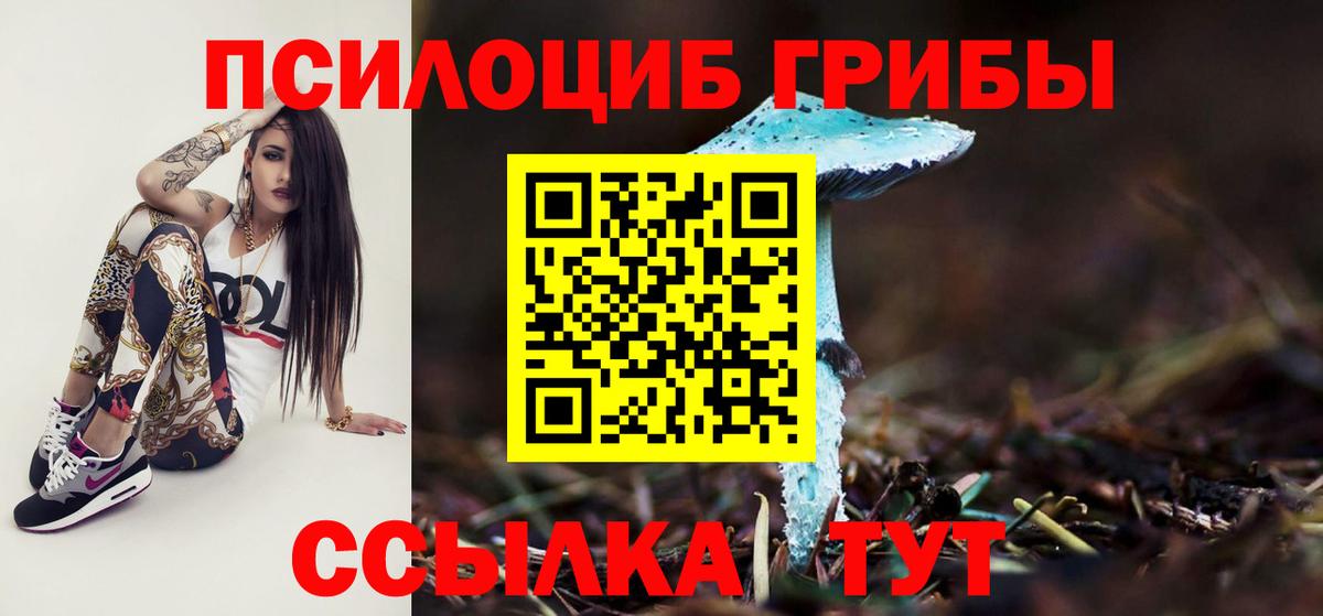 Псилоцибиновые грибы MAGIC MUSHROOMS  Вход с VPN  Чусовой 